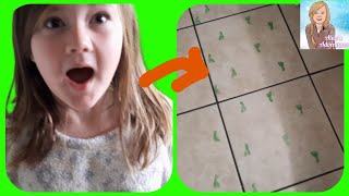 We almost caught a leprechaun! by Alice's Adventures - Fun videos for kids 54 views 1 month ago 5 minutes, 47 seconds