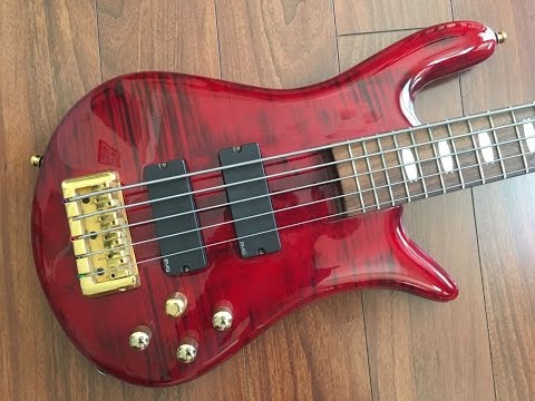 unbiased-gear-review---spector-euro-5lx-5-string-bass