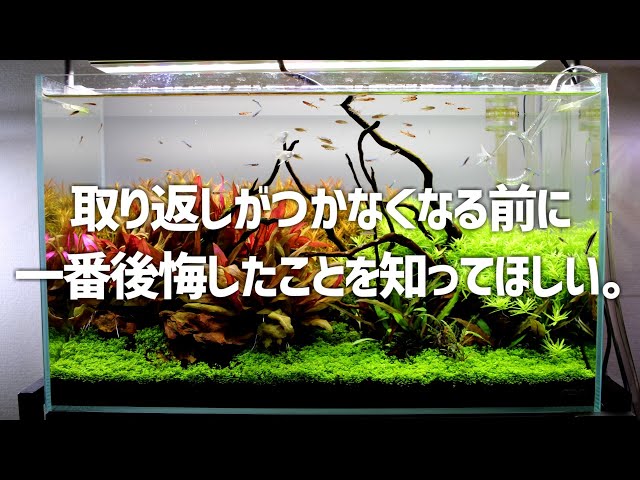 sddefault.jpg
