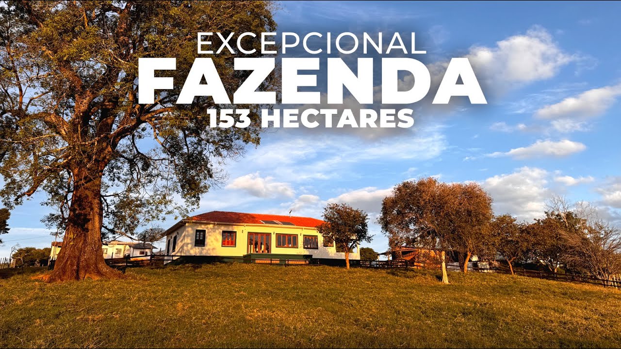 FAZENDA 153 HECTARES, COM BOAS BENFEITORIAS E ÓTIMO APROVEITAMENTO