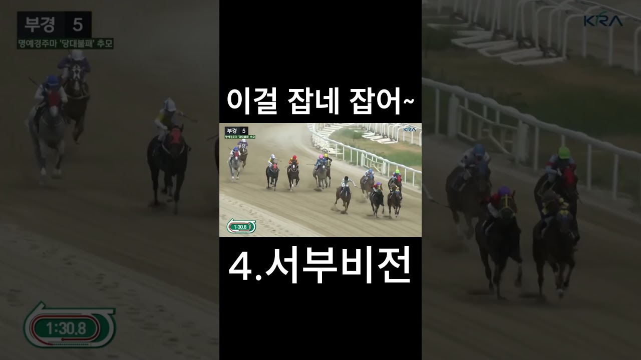 이걸 잡네 잡어~   #경마  #경마예상  #경마방송  #경마예상방송  #서울경마  #금요경마  #토요경마  #일요경마 #경마장