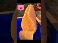 Honey Combo #shorts #youtubeshorts #viral #trending
