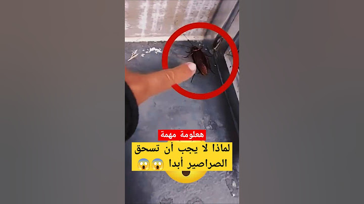 لا تقتل الصراصير أبدا 😨 #اكسبلور #ترند #متعه