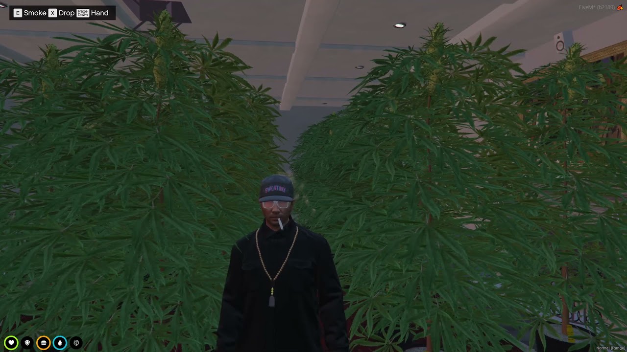 HOW TO FARM WEED - LUCID CITY RP