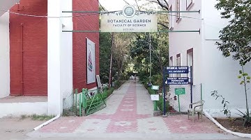 MSU Botanical Garden in 45 Seconds