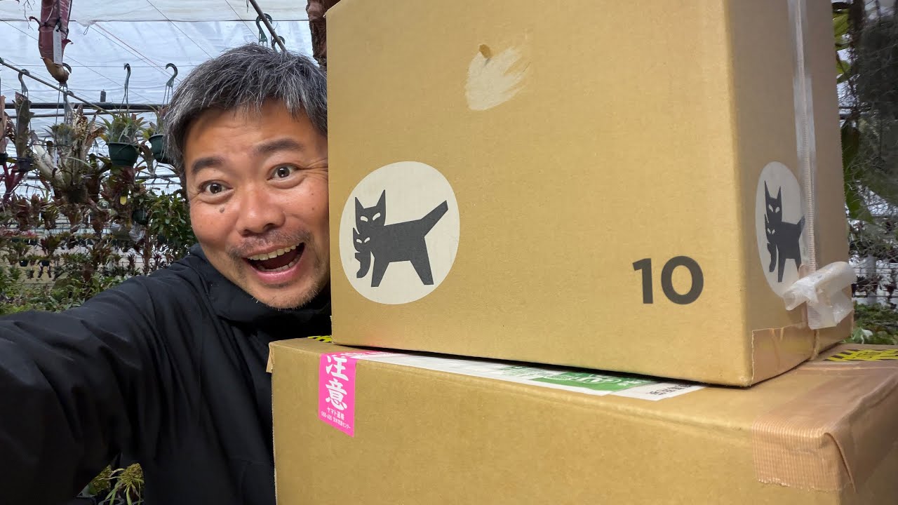 Unboxing Video] My New Purchases! Introducing the Plants That