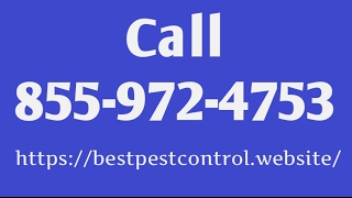 Pest Control Maine - Exterminators Ny 13802