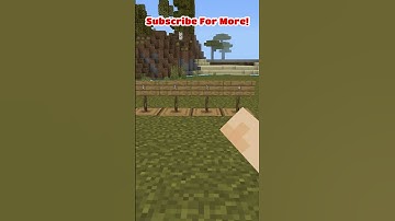 Which 2 Of These Logs Are Stripped? #shorts