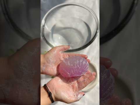 This Sea Shell Soap Lasts For About 2 Months Barsoap Soap Bodycare Skincare