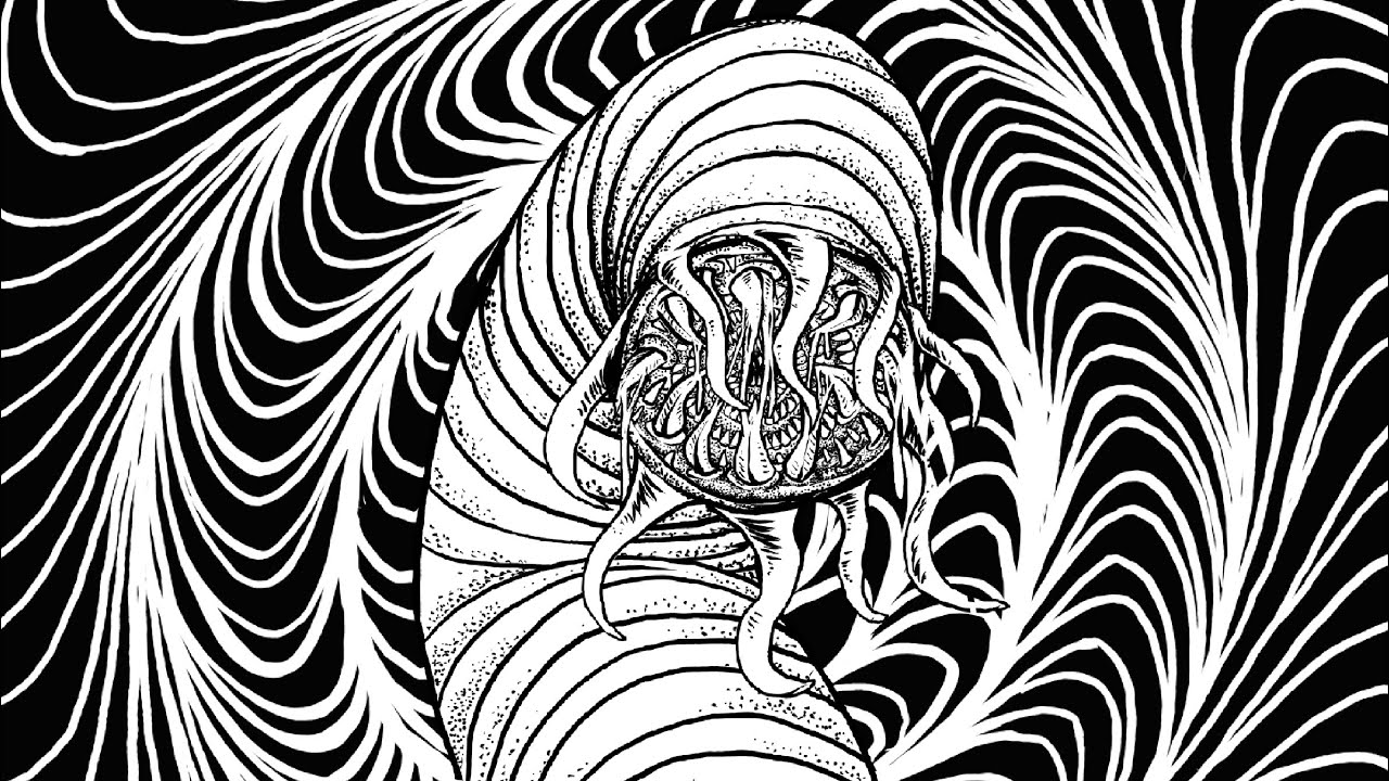 Watch Vortex Town - Spit on YouTube Watch Vortex Town - Spit on YouTube