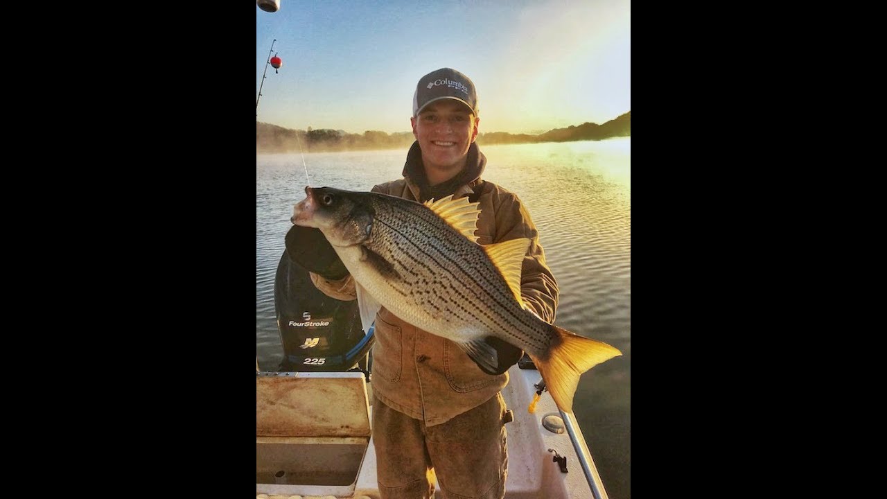 Crazy AWESOME Striper Fishing in TN!! YouTube