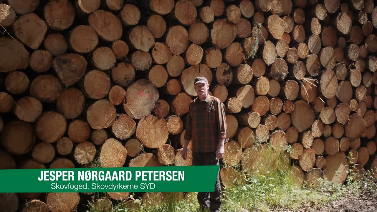 Markedet for nåletræ 2021