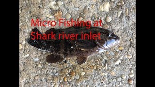 Micro fishing at shark river inlet