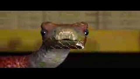 3dsmax snake animation test