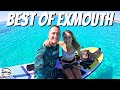Swimming with whale sharks and camping on the ningaloo reef  exmouth western australia ep33
