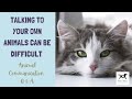 Talking To Your Own Animals Can Be Difficult | Susie Shiner | Animal Communicator