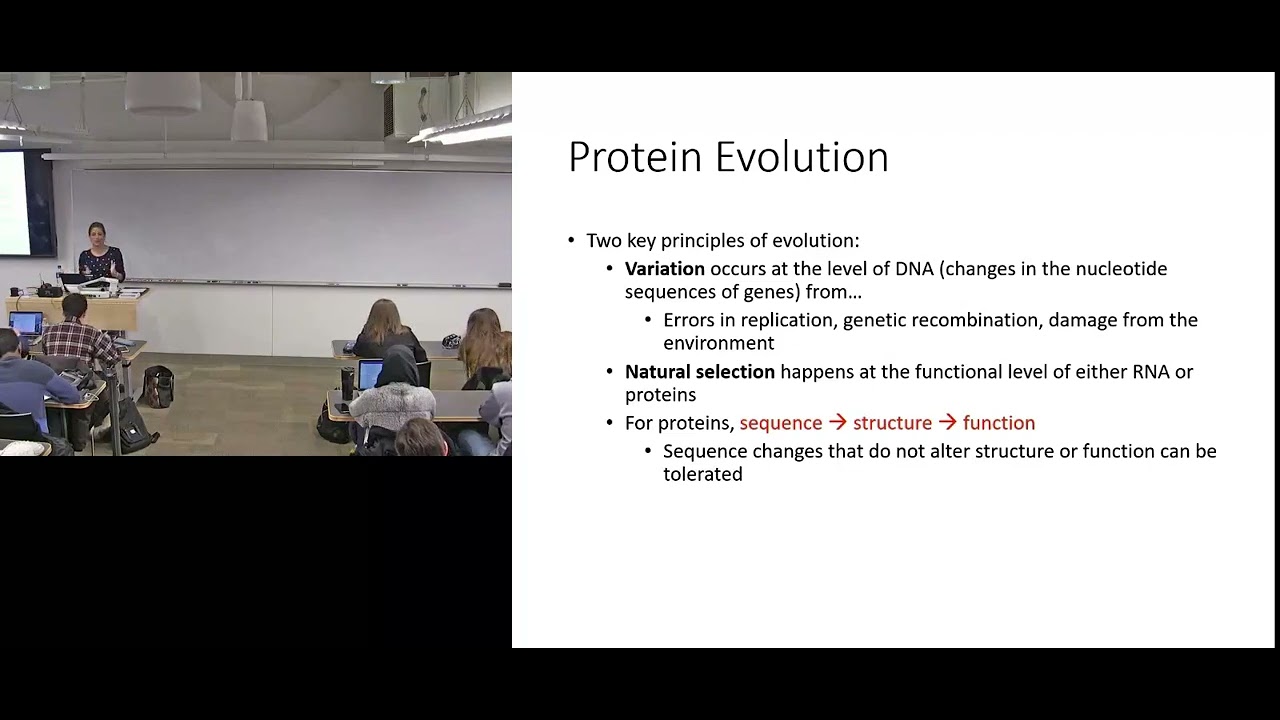 Protein Evolution & Natural Selection Intro YouTube