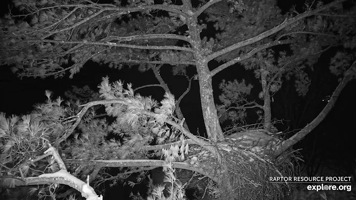 Trempealeau Eagles Live Stream