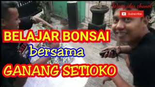 BELAJAR BONSAI BERSAMA GANANG SETIOKO