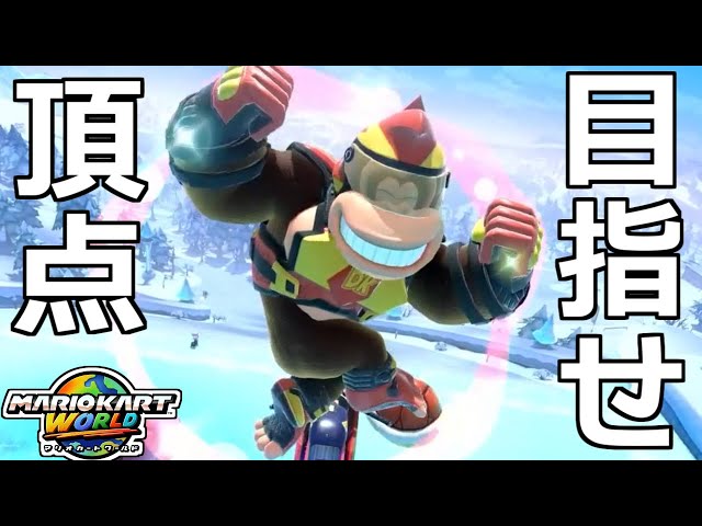 ドンキーコング”を初使用して雪山で頂点を目指したニートの末路www