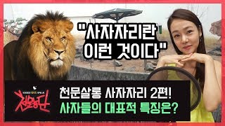 [천문농단] 별자리방송 제 37화! 천문살롱 &quot;사자자리 풀이 2편!&quot;