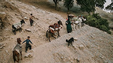 nomadic family migration to mountain for wedding ! - nomads life 2023