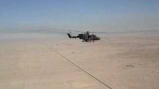 The Mighty Lynx MK7