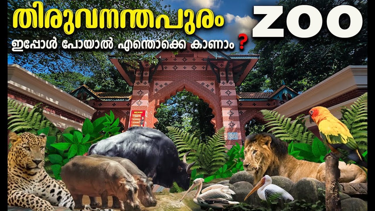 Trivandrum Zoo 2025|Thiruvanathapuram Zoo|trivandrum tourist places malayalam|snake park trivandrum