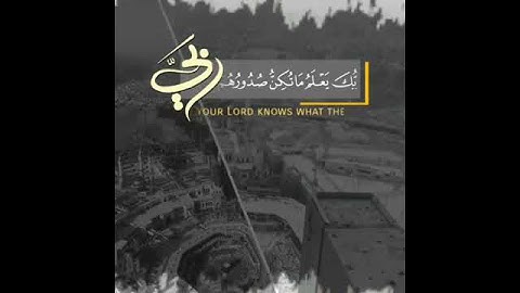 وربك يعلم ما تكن صدورهم ياسر الدوسري | القرآن الكريم سورة القصص 🌹🌾
