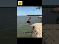 funny videos of the world 74 #shorts #funny #meme