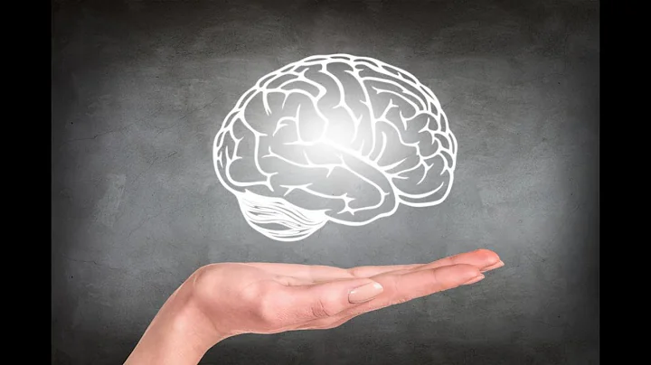 Nutrition for a Healthy Aging Brain
