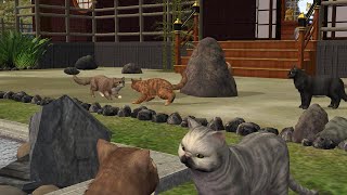 🐈🎍cat hotel in nekojima🐈‍⬛🌸 -  the sims 2