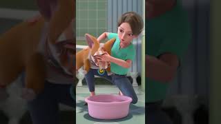 Washing My Dogs Face