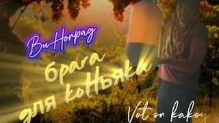 Виноград. Брага для коньячного напитка. Чего скромничать? Для коньяка.