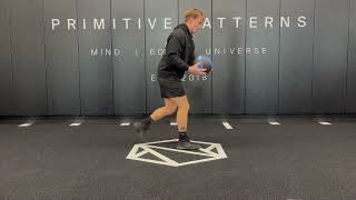 Split Squat Jumps w/ Medball