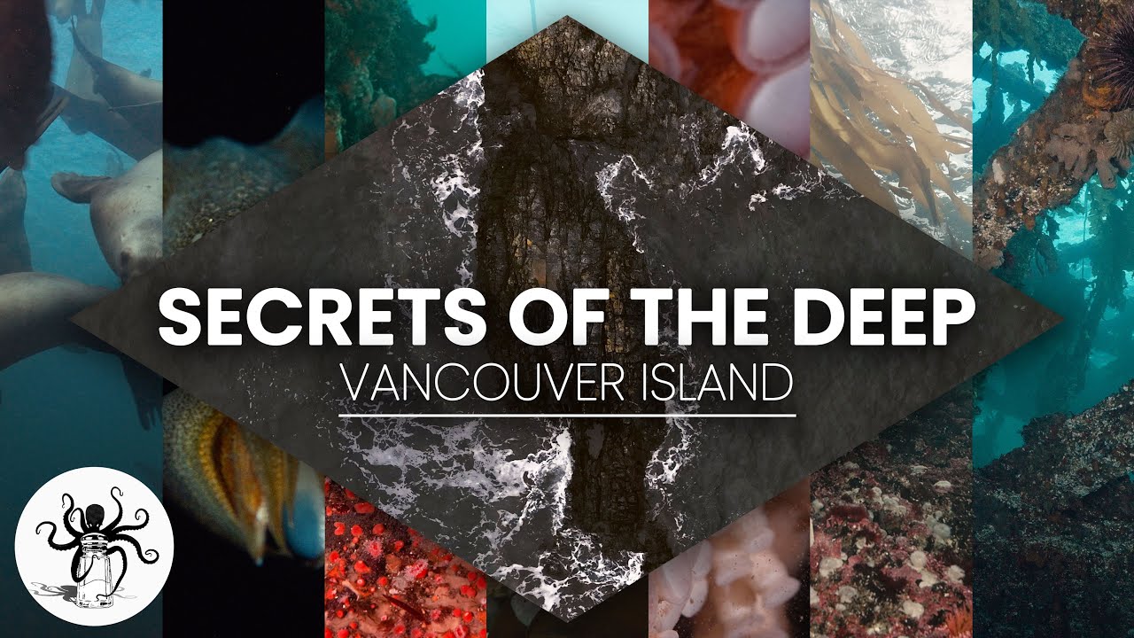 youtube-video-thumbnail