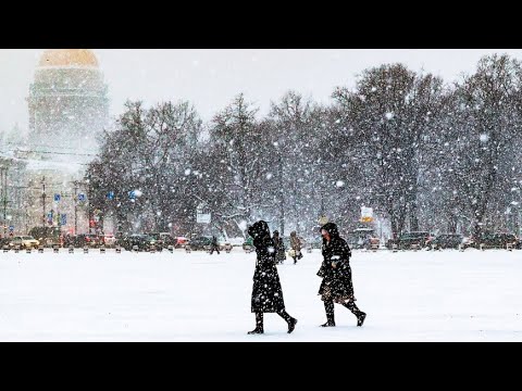 Циклон «Фарима» бушует в Петербурге. Город засыпает снегом, коммунальные службы в усиленном режиме