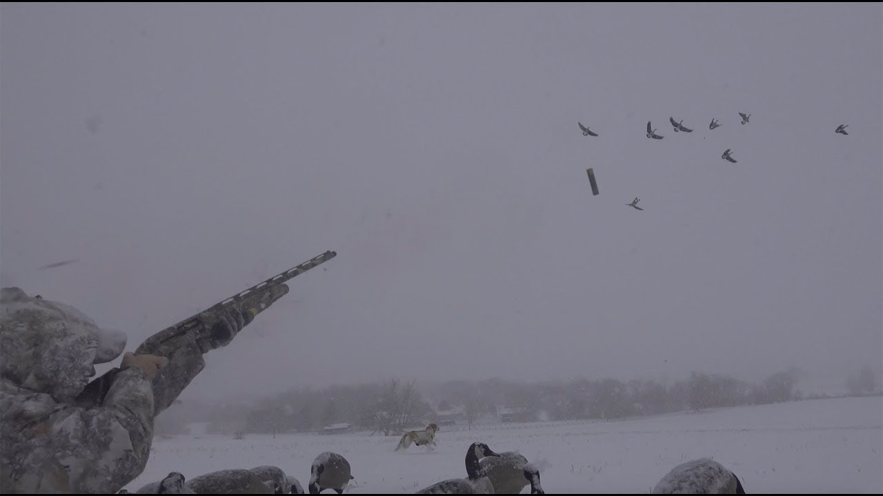 Canada Goose {Catch Clean Cook} with Mr. David Wise