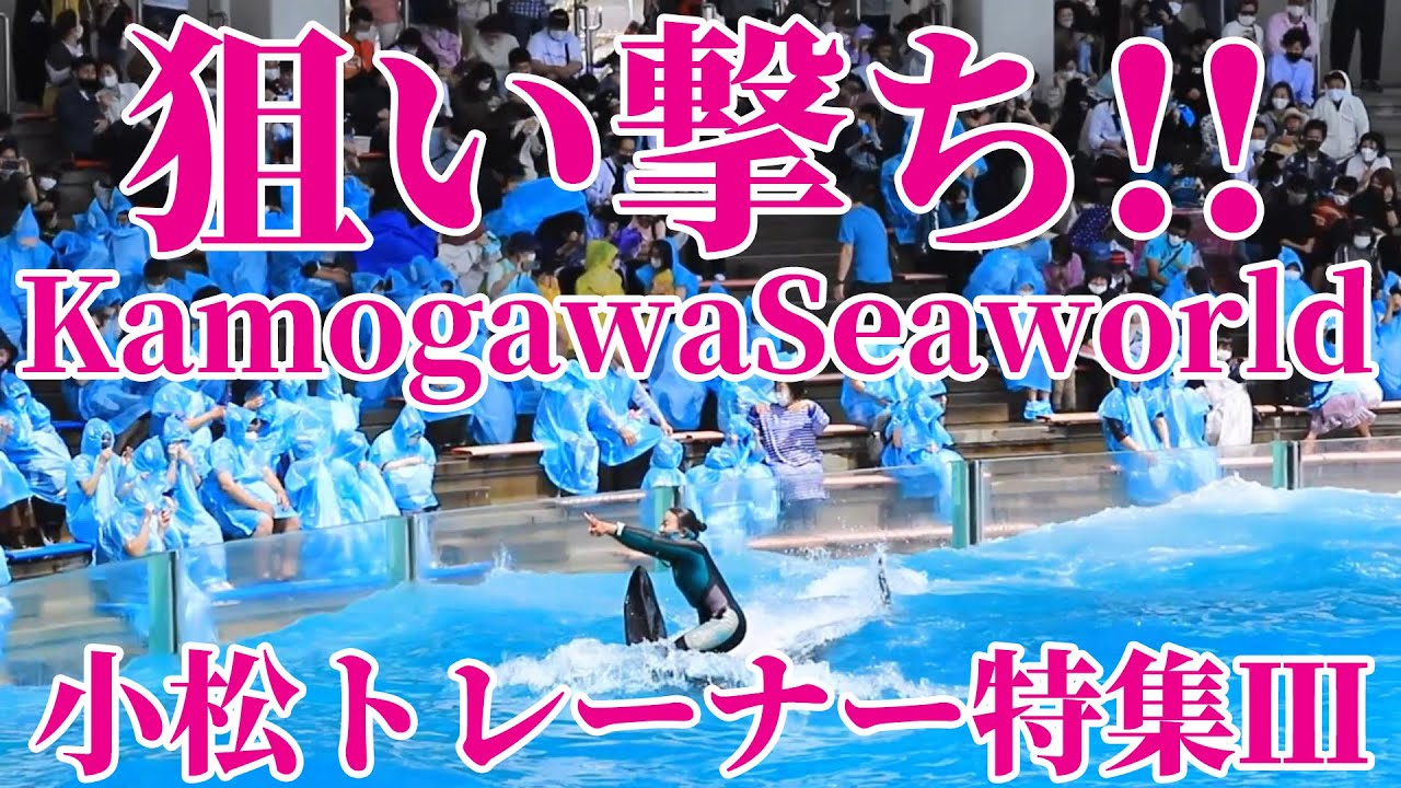 鴨川シーワールド シャチパフォーマンス 小松トレーナー特集 Kamogawaseaworld Youtube