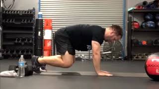 Bear Plank UpDowns Demo