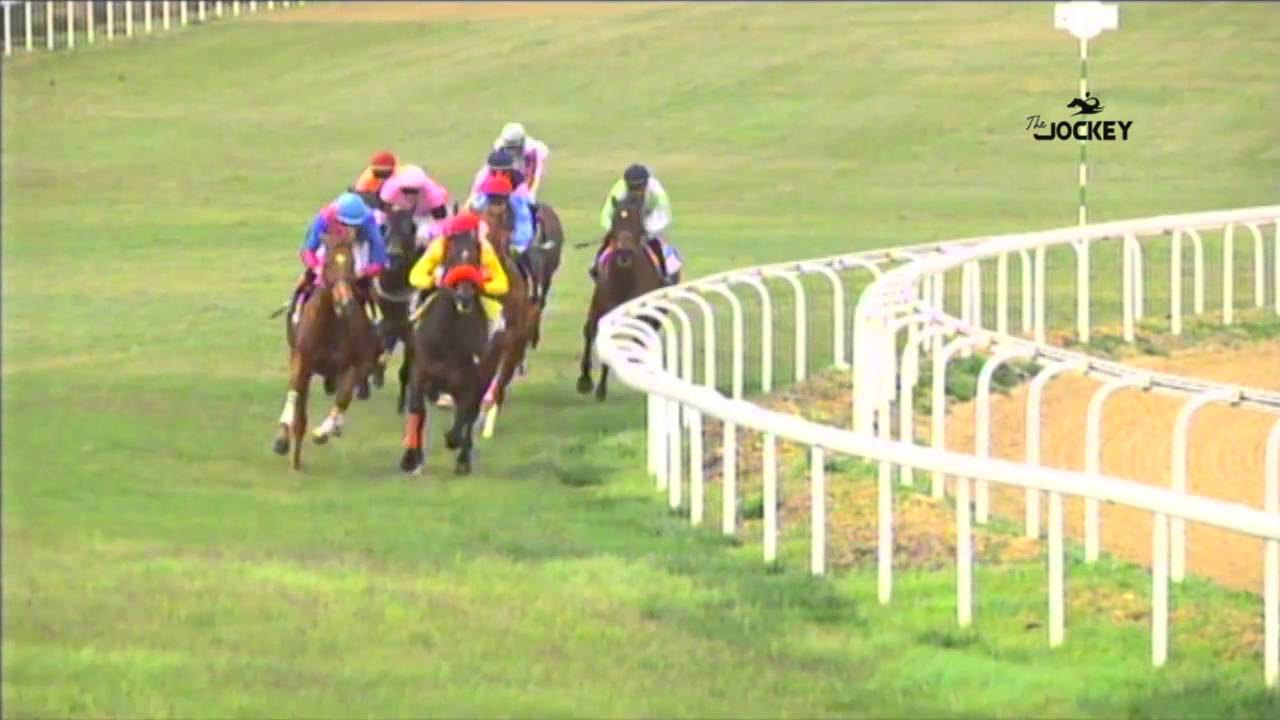 2 Carrera, premio El Correo de Andalucía, 14 de febrero 2016 - Gran Hipódromo de Andalucía horseshoe bend