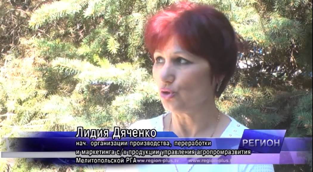 В разъеме обнаружена влага В разъеме обнаружена влага
