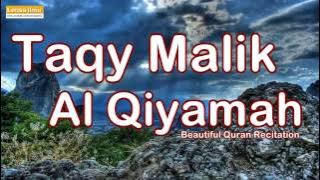 Download lagu Sungguh Menentramkan Hati bacaan surah Al Qiyamah oleh Taqy Malik