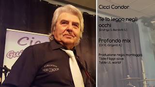 Cicci Guitar Condor - Te lo leggo negli occhi / Profondo mix  (Official Video) chords