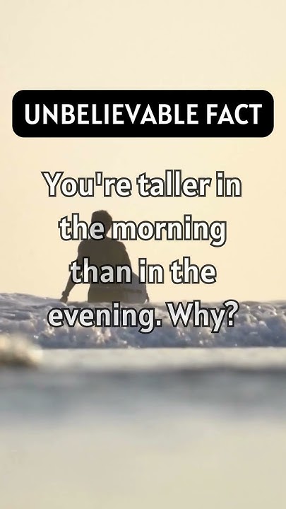 You're taller in the morning than in the evening. Why? | Unbelievable