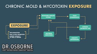 Chronic Mold & Mycotoxin Exposure