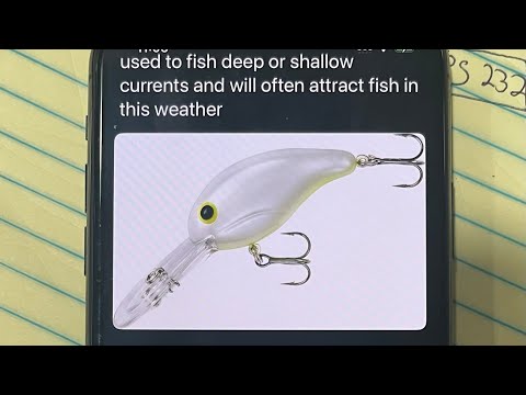Weather API, Chat GPT, Custom Google API in SwiftUI