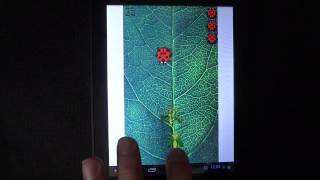 ladybug game android screenshot 3