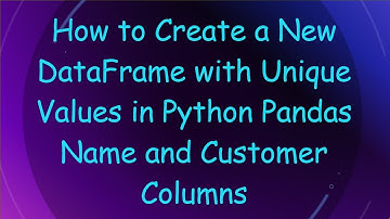 How to Create a New DataFrame with Unique Values in Python Pandas Name and Customer Columns