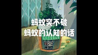 201801 蚂蚁突不破蚂蚁的认知的话23038